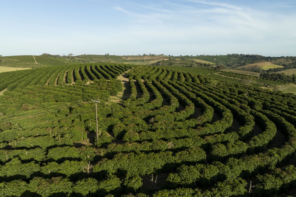 Sebrae e Associação dos Cafeicultores do Sudoeste de Minas lançam marca território para valorizar a origem produtora