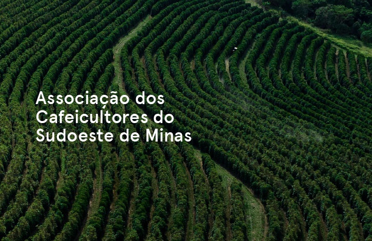 Associação dos Cafeicultores do Sudoeste de Minas lidera movimento por uma cafeicultura consciente e sustentável
