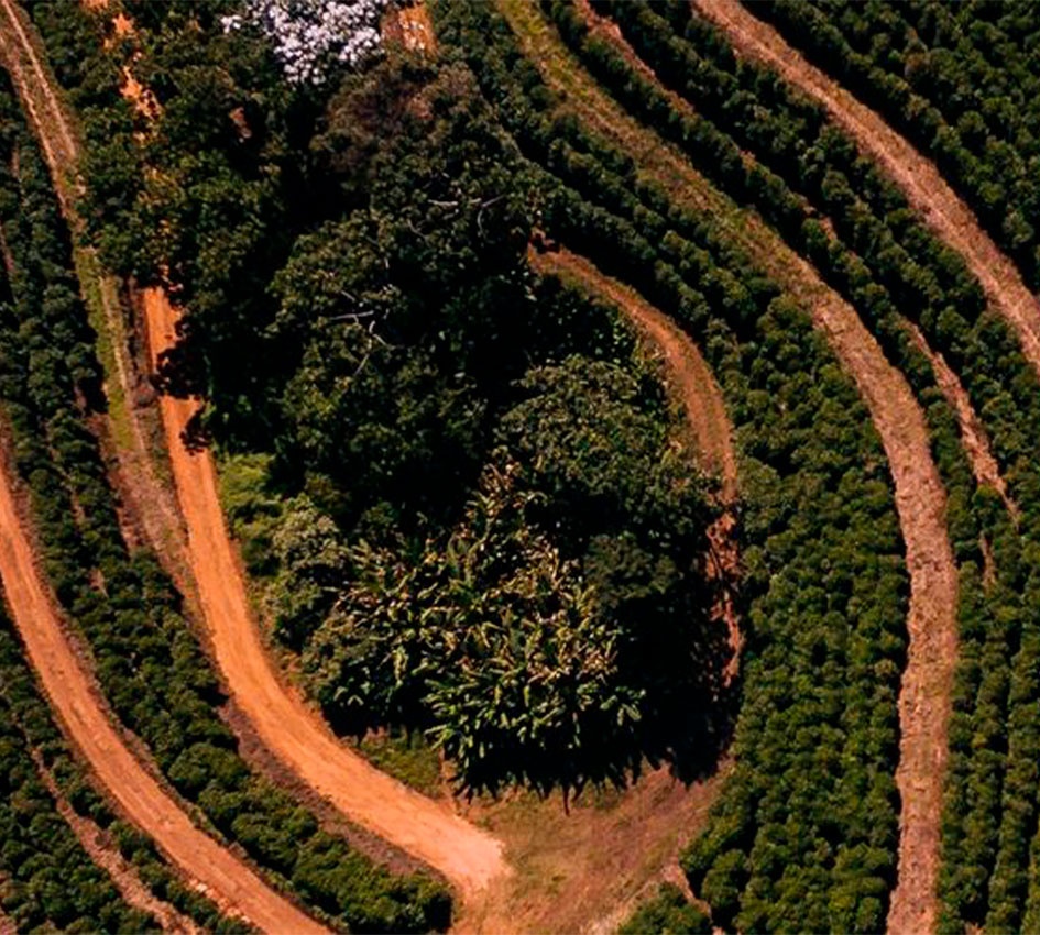 Dia de Campo em Muzambinho (MG) realizada pela Associação dos Cafeicultores do Sudoeste de Minas